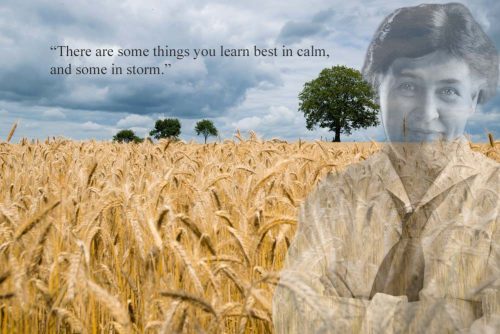 There are some things you learn best in calm, and some in storm